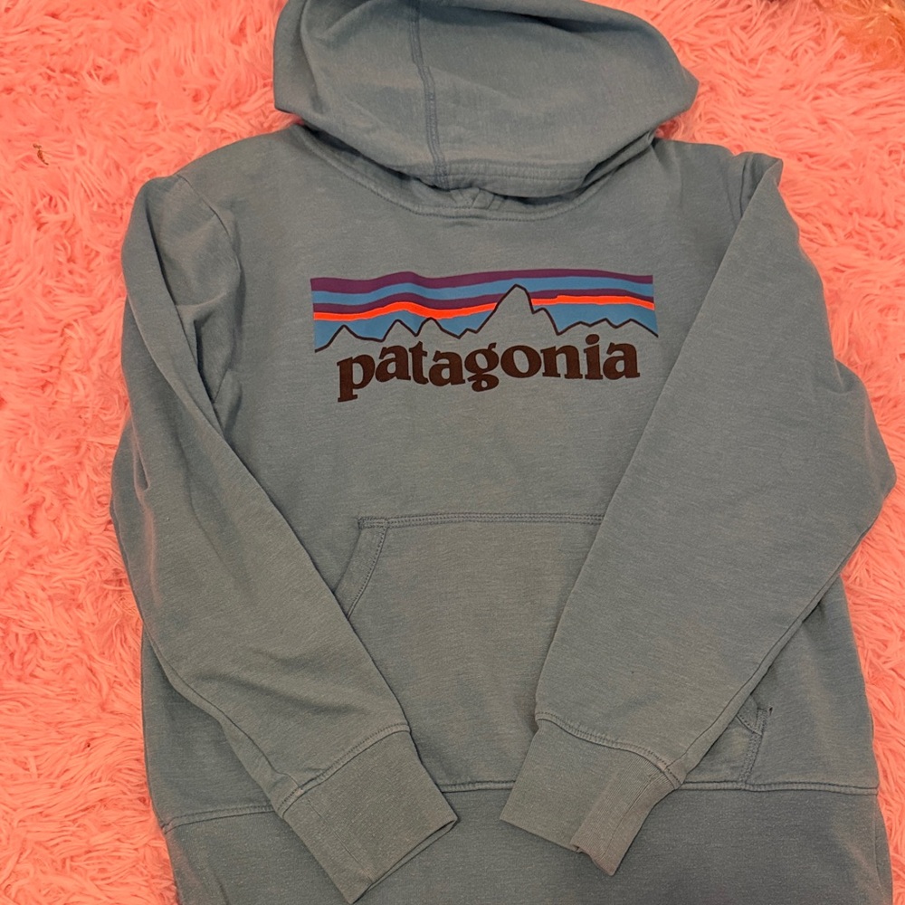 Patagonia Men's Teal Hoodie Sweater